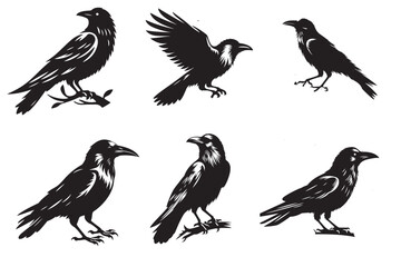 crow silhouette vector illustration