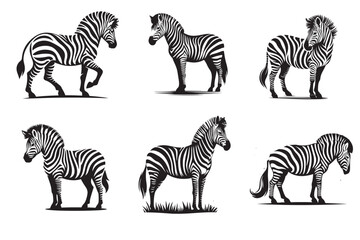 zebra silhouette vector illustration