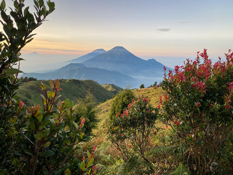 The drone view of Prau Mountain in Wonosobo Regency, Central Java, Indonesia. It was taken on June 9, 2024 by a professional. It's an iconic mountain in this regency