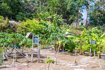 Fototapeta premium Kalim bay view near Patong, in Phuket, Thailand