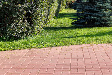 Sidewalk made of red paving slabs in the park.