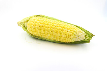 Fresh Corn on White Background. Healthy Sweet Corn on White. Vegetable Corn on White Background. Organic Corn on White. Close-up of Corn on White Background.