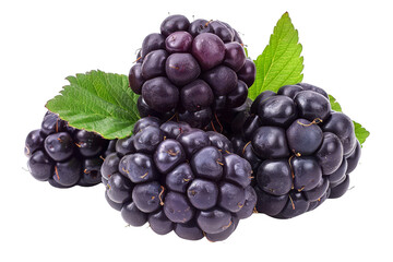 Fototapeta premium Close-up of fresh blackberries with green leaves. Perfect for food, fruit, berry, diet, and healthy eating images on stock photo platforms.