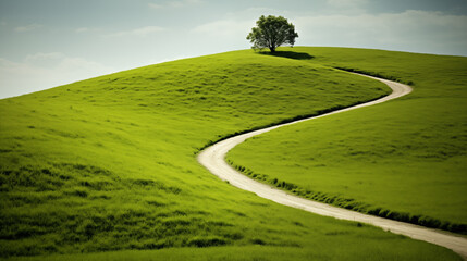 Lonely Tree on a Green Hill with Curving Path