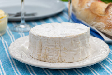 French soft Camembert cheese, original Camembert de Normandie, close up with white mold