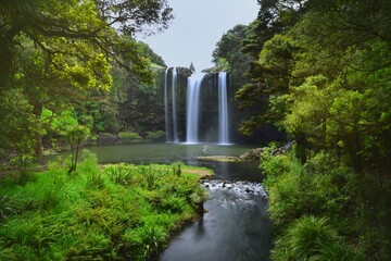 The Whangarei Falls and river