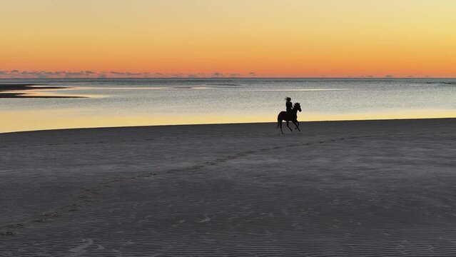 4K, aerial drone, woman riding horse on beach at sunrise dawn, Woodgate Beach, Queensland, Australia