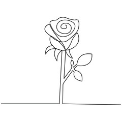 Rose flower single line art, continuous one line drawing of  Isolated 