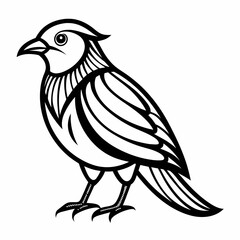 bird