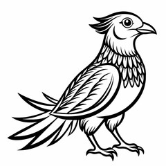 illustration of a bird