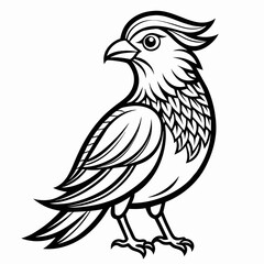 eagle vector illustration