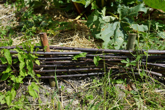 Le Perche - plessis potager bio