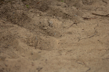 Sand Texture of the road