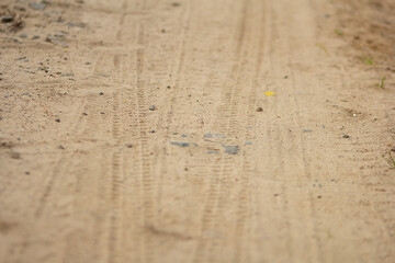 Sand Texture of the road