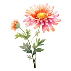 Obraz premium bouquet of flowers watercolor isolated on transparent background cutout