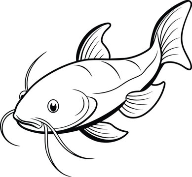 recommend clip art: catfish illustration outline isolated on white background eps 10
