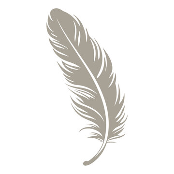Fototapeta A illustration of feather floating in the air