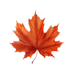autumn maple leaf isolated with transparent background