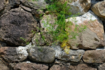 stone wall background, restored fortress wall