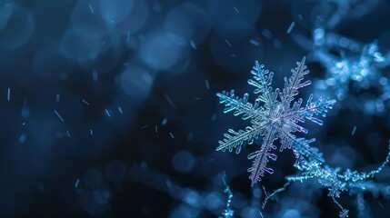  A tight shot of a solitary snowflake against a backdrop of dark blue, surrounded by a hazy assemblage of snowflakes in the foreground and an indistinct