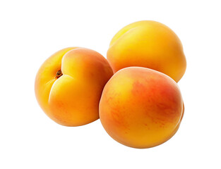 Three apricots nestled together showcasing their velvety skin and vibrant hues of orange and yellow.