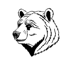transparent black bear face illustration PNG