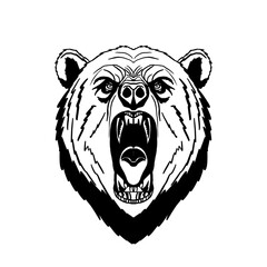 illustration of a fierce black bear's face PNG