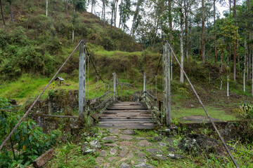 Obraz premium wooden bridge in the forest