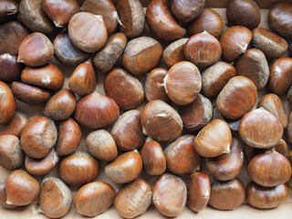 chestnuts food background