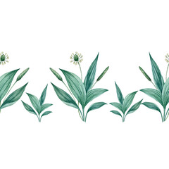 Seamless watercolor horizontal floral pattern with green leaves and plantain flowers.