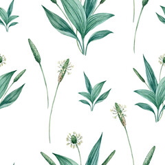 Seamless watercolor floral pattern with green leaves and plantain flowers.