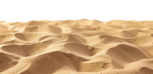 Beach Sand Landscape Isolated on Transparent Background
