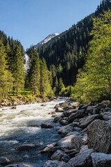 Obraz premium Ein fließender Gebirgsbach in einer waldreichen Berglandschaft mit klarblauem Himmel.