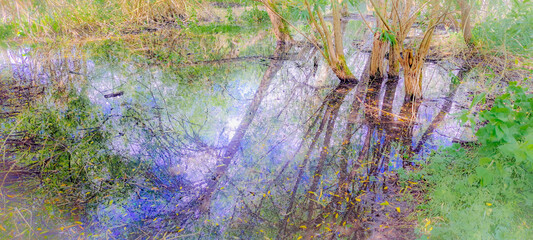 Trees reflection in flooded river bank