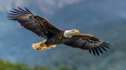 Obraz premium Majestic Bald Eagle in Flight with Outstretched Wings Against a Scenic Mountain Background on a Clear Day