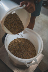 A delightful collection showcasing desserts, Asian cuisine, breakfast and brunch dishes, and coffee. Enjoy the visual feast of gourmet sweets, exotic Asian flavors, hearty breakfast plates, and artisa