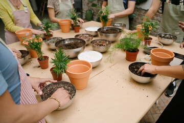 People at workshop class plant caring replanting house plants. table with soil, bowls, root balls,...