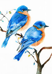 Obraz premium Watercolor blue bird on a white background, Bird Wall Art Poster