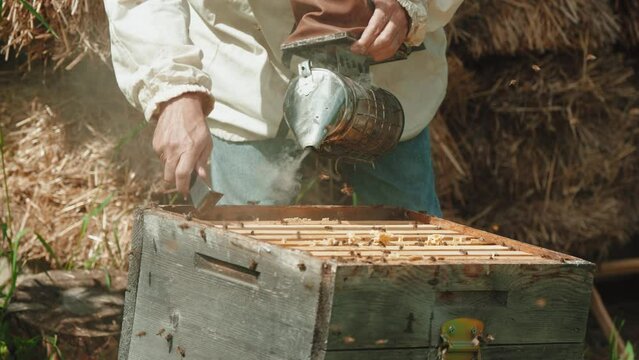 Beekeeper is holding up wooden frame with bees to control situation in bee colony.  Farmer in protective suit working on bee field. Worker carring out bee
