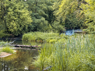 The small and wild Grabia river in central Poland.
