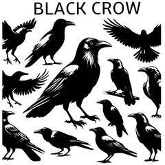 set of black crows, halloween party, editable stroke, vector art ready for card or invitation.