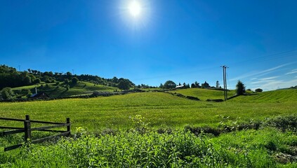 Landscape with lush green grass, and a rustic fence in the foreground, all set against a  blue sky,...