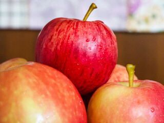 Garden Fresh Apples. Apples straight from the orchard, perfect for farm-to-table concepts.