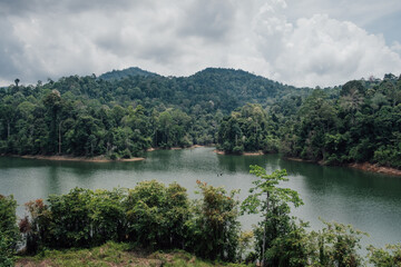 Fototapeta premium A calm panorama of a lushy forest and a lake