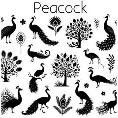 Set of Peacock