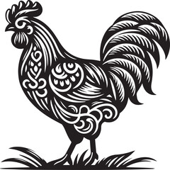 rooster isolated on white background