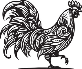 rooster isolated on white