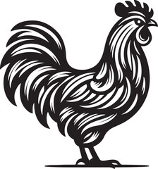 rooster isolated on white