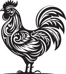 rooster isolated on white background