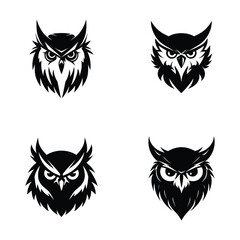 Obraz premium black and white Owl